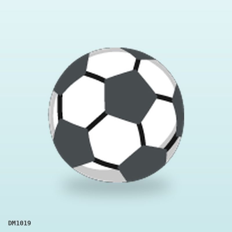 Football Size 5 Pro (30/Ctn) wholesale