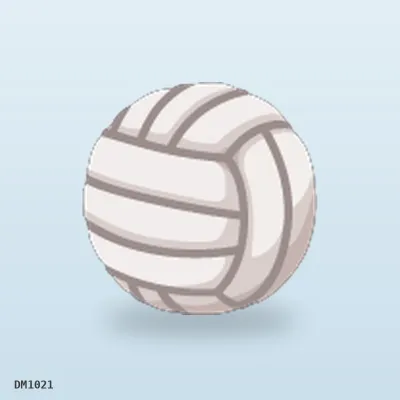 Volleyball Soft Touch (30/Ctn) wholesale