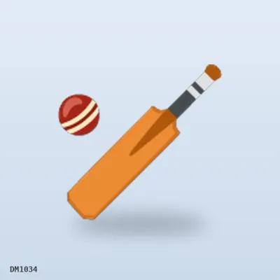 Cricket Bat Willow (10/Ctn) wholesale
